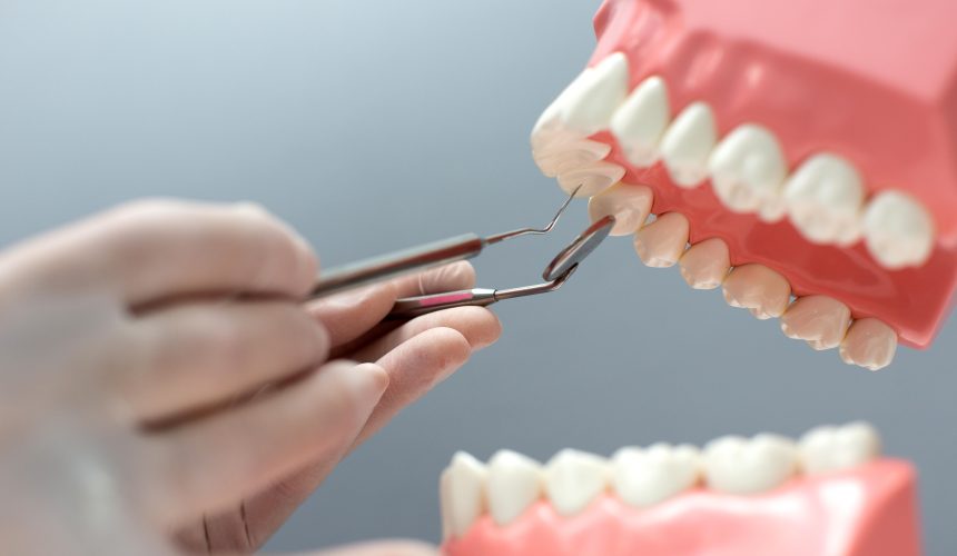 Importance of Regular Dental Checkups for Children